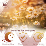 Nootropics Depot etiqueta ampliada con información de concentración y pruebas