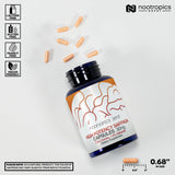 Nootropics Depot polvo de extracto de azafrán textura y pureza visible