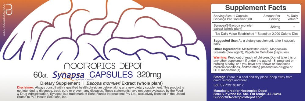Nootropics Depot Synapsa textura del extracto en polvo, visual de pureza y origen vegetal
