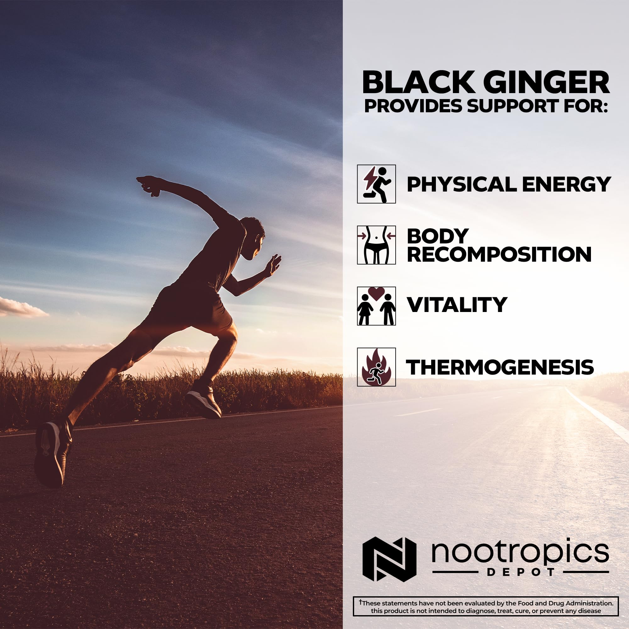 Comparación de tamaño del frasco Nootropics Depot y mano para mostrar las 180 cápsulas y duración del suministro