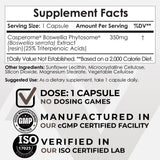 Nootropics Depot cápsula abierta mostrando contenido y mejora de absorción