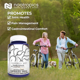 Nootropics Depot resina de Boswellia detalle que destaca origen natural