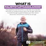 Nootropics Depot cápsula abierta mostrando contenido para calidad comprobable