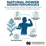 Nootropics Depot cápsula abierta mostrando polvo del extracto estandarizado