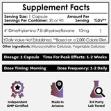 Nootropics Depot cápsula en primer plano destacando dosis uniforme y fácil ingestión