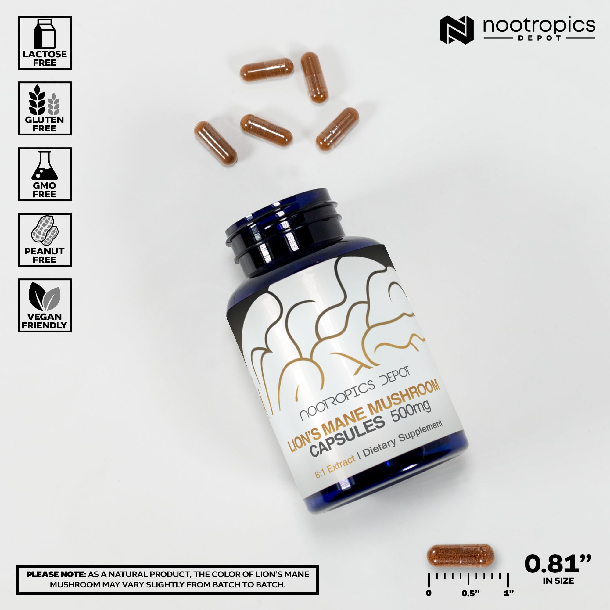 Nootropics Depot cápsula en mano para comparar escala y dosis, práctica para uso diario