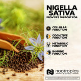 Nootropics Depot cápsula en mano para comparar tamaño y dosificación