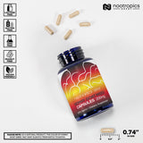 Nootropics Depot cápsula sostenida en mano que muestra tamaño y fácil ingestión
