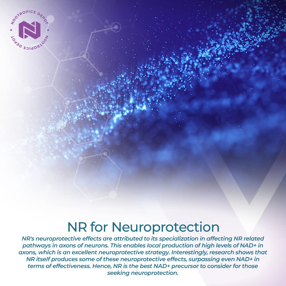 Nootropics Depot cápsula en mano ilustrando tamaño y facilidad de ingestión