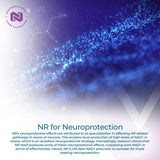 Nootropics Depot cápsula en mano ilustrando tamaño y facilidad de ingestión