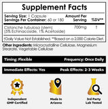Nootropics Depot primer plano de cápsula y textura del polvo, detalle de pureza
