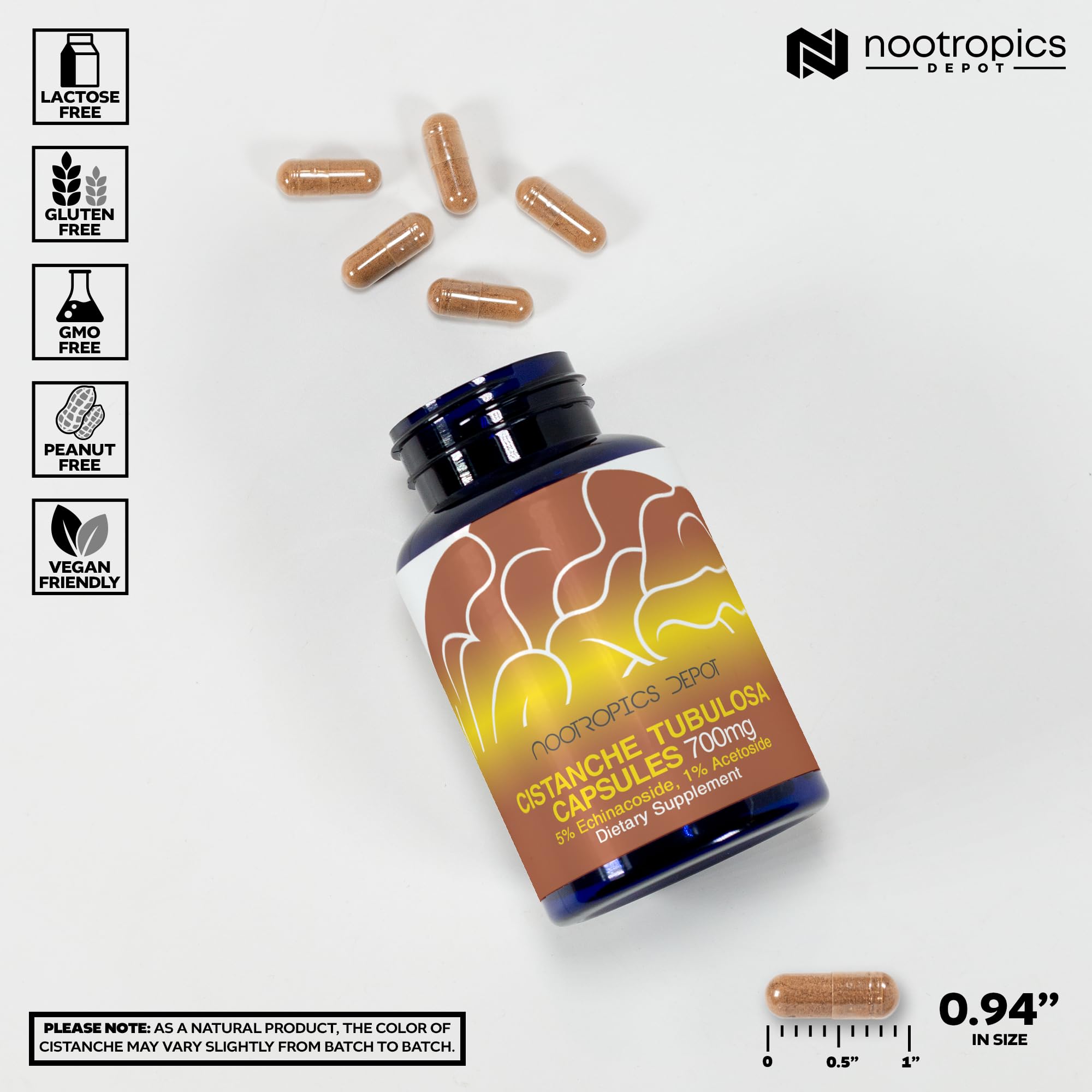 Nootropics Depot cápsulas en mano para comparar tamaño y dosificación, fácil ingesta