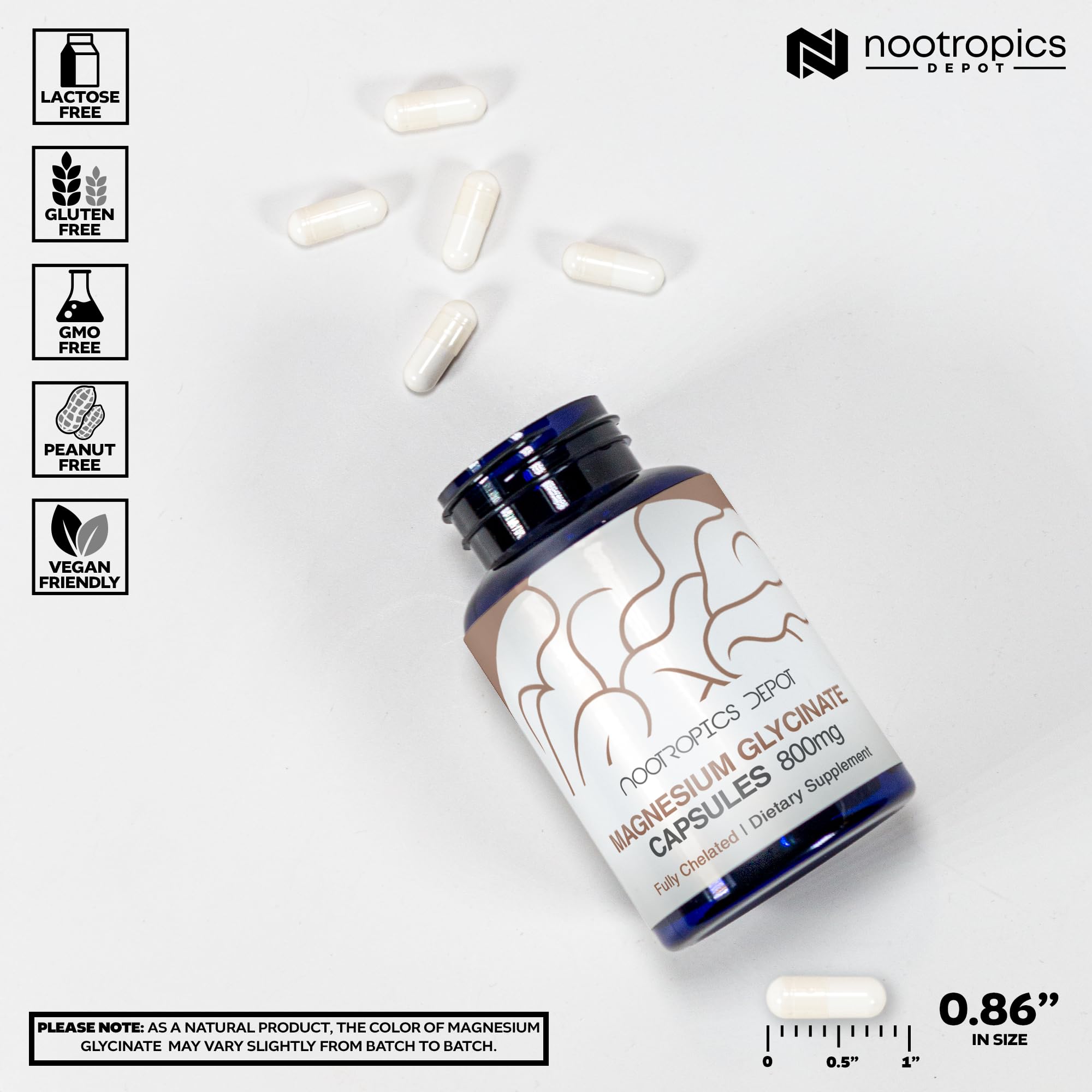 Nootropics Depot cápsulas en mano para comparar tamaño y dosificación, referencia de escala
