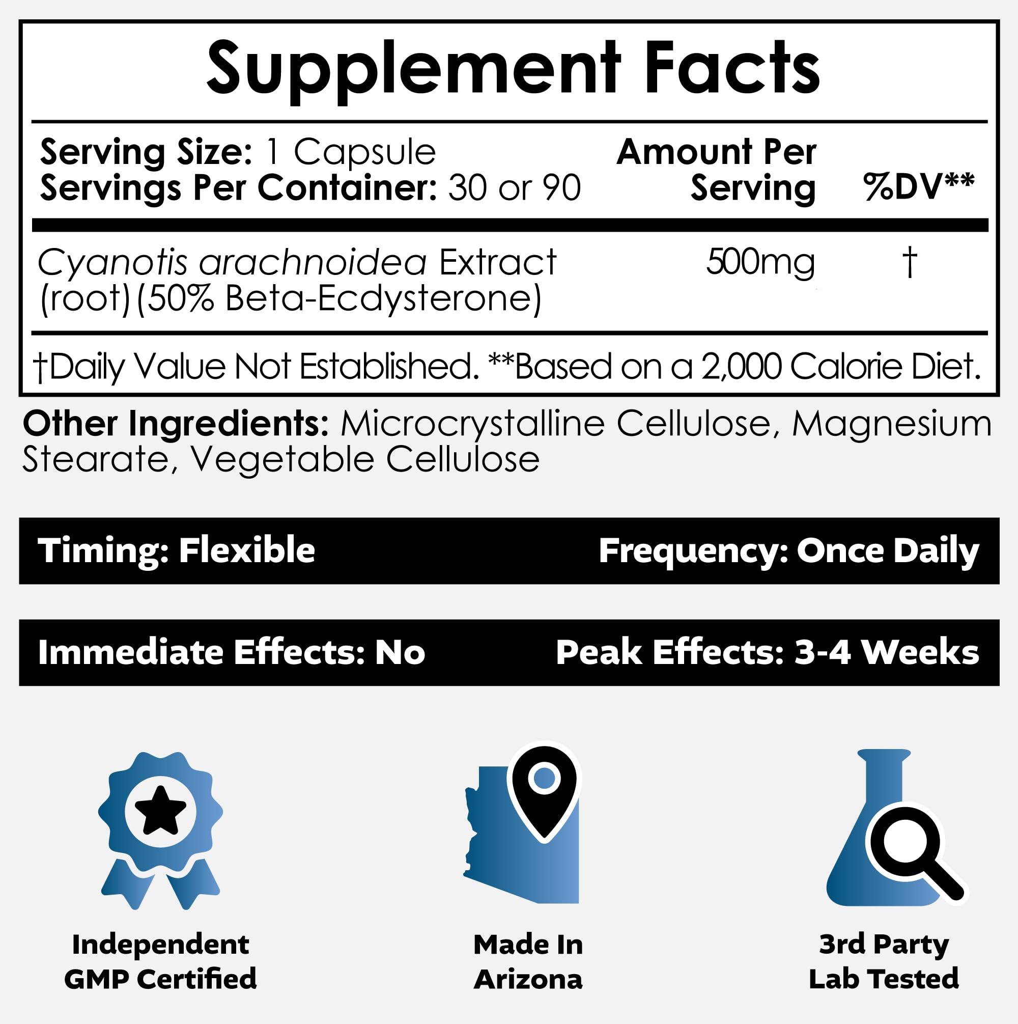Nootropics Depot cápsulas en mano para visualizar el tamaño y facilitar la dosificación