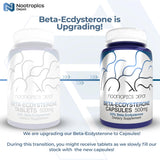 Nootropics Depot cápsulas en primer plano que evidencian textura y recubrimiento uniforme
