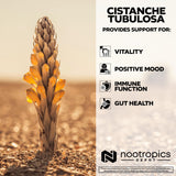 Nootropics Depot textura de tableta cercana para calidad y uniformidad