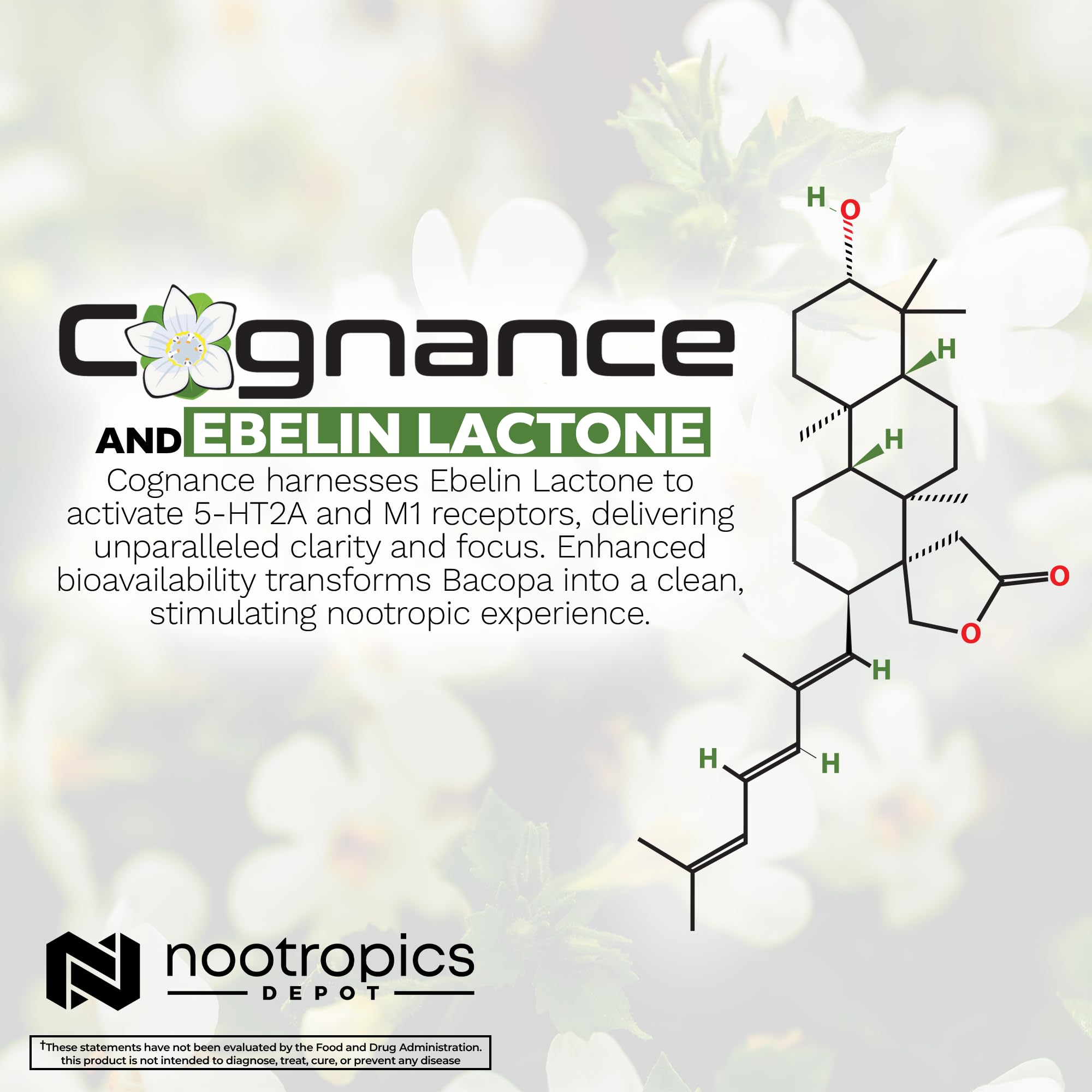 Nootropics Depot comparación de tamaño de cápsula para dosificación clara