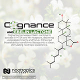 Nootropics Depot comparación de tamaño de cápsula para dosificación clara