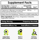 Nootropics Depot vista lateral del envase que destaca dosis y cantidad