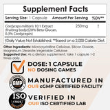 Nootropics Depot detalle del polvo de extracto 10:1 mostrando textura concentrada