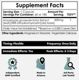 Nootropics Depot cápsula vegetal en mano mostrando tamaño fácil de tragar