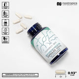 Nootropics Depot polvo de extracto de vine tea destacando pureza del DHM