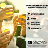 Nootropics Depot persona en evento social tomando cápsula para recuperación