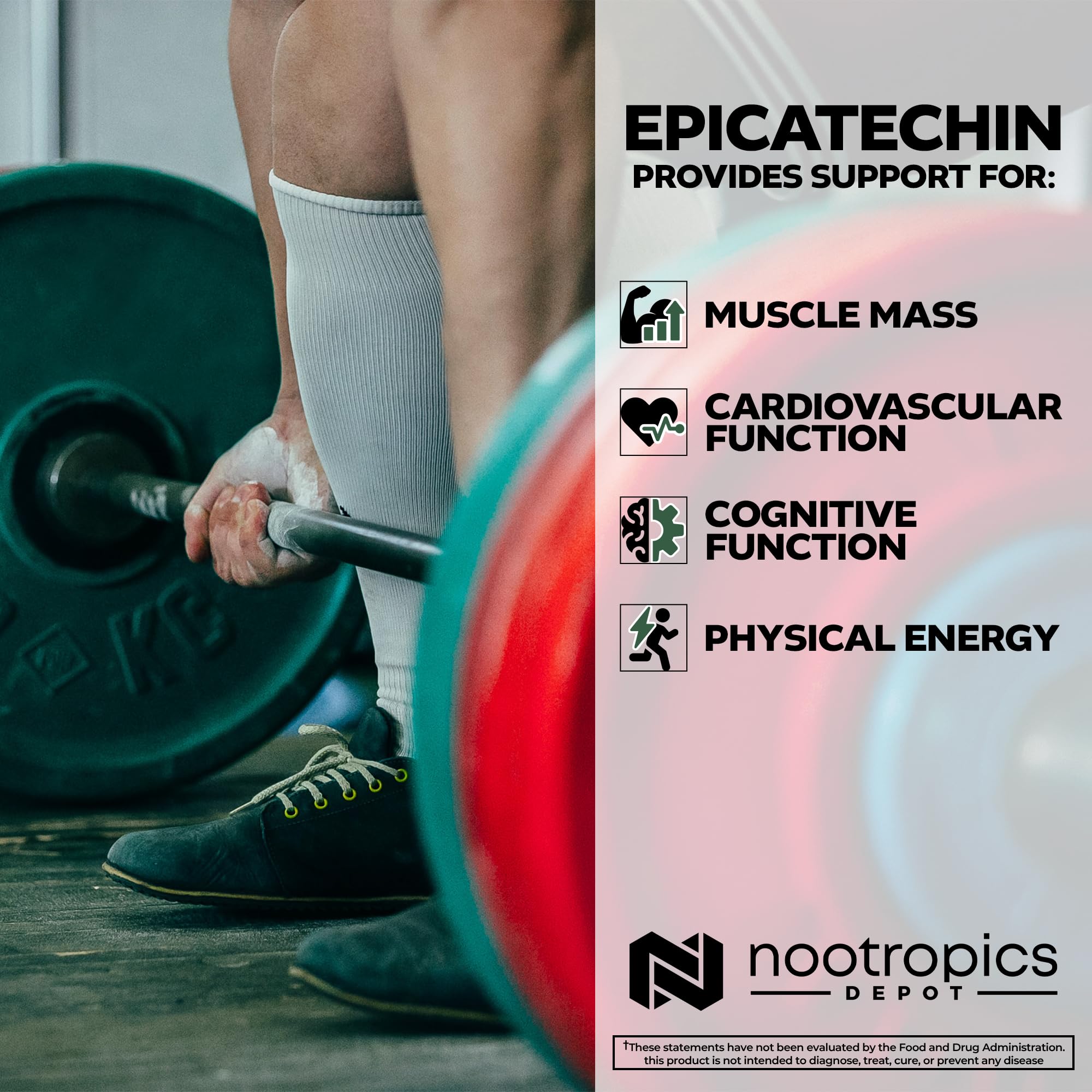 Nootropics Depot cápsulas en mano para comparar tamaño y comodidad de uso
