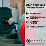 Nootropics Depot cápsulas en mano para comparar tamaño y comodidad de uso