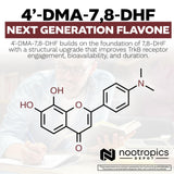 Nootropics Depot detalle de etiqueta con 10 mg y 30 recuentos, información visible