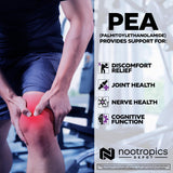 Nootropics Depot etiqueta con información de pureza y concentración