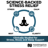 Nootropics Depot etiqueta con información nutricional y beneficio de transparencia analítica