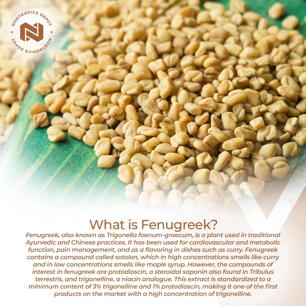 Nootropics Depot polvo de fenogreco mostrando pureza y color