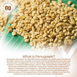 Nootropics Depot polvo de fenogreco mostrando pureza y color