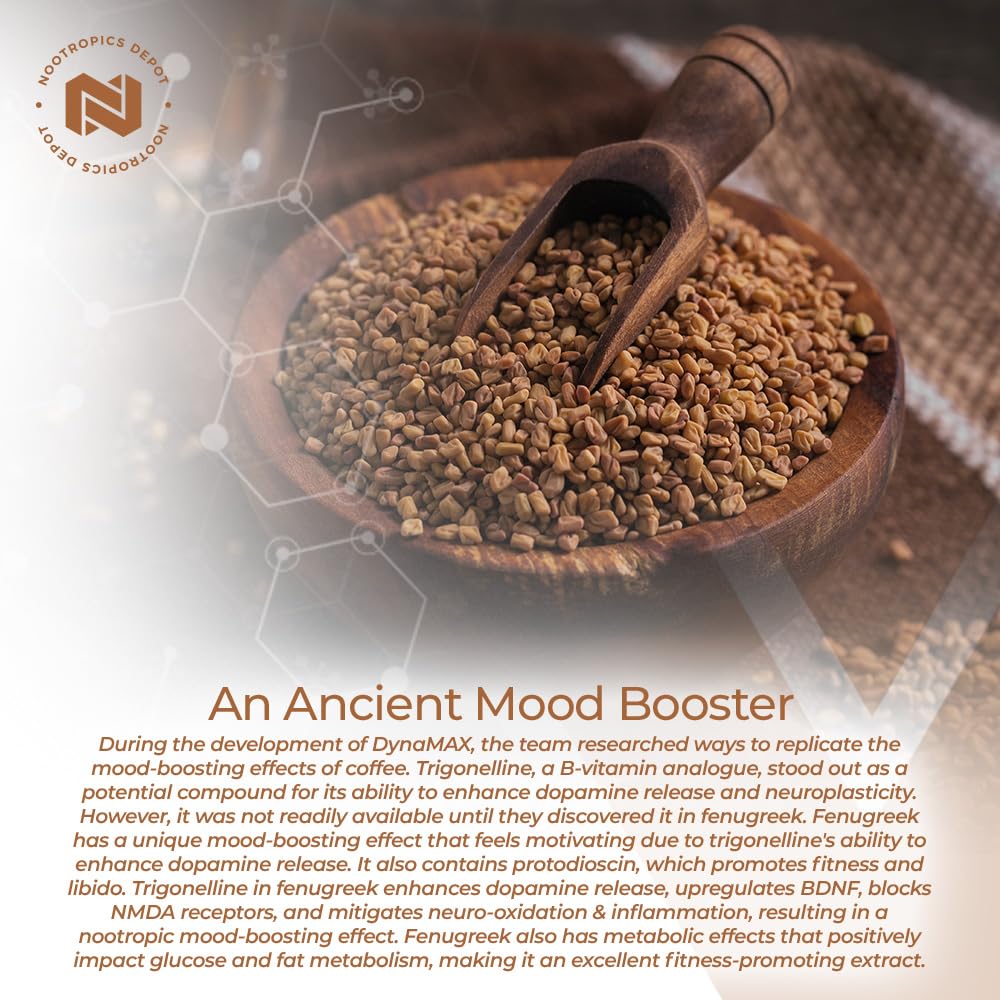 Nootropics Depot cápsula junto a moneda para comparación de tamaño