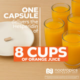 Nootropics Depot frasco junto a objeto para comparar tamaño y cantidad