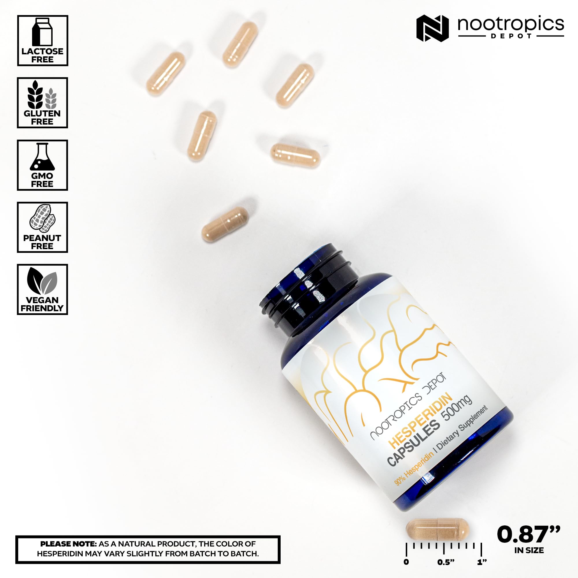 Nootropics Depot polvo de extracto detalle, alto contenido y pureza