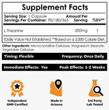 Nootropics Depot cápsula en primer plano que revela textura y pureza