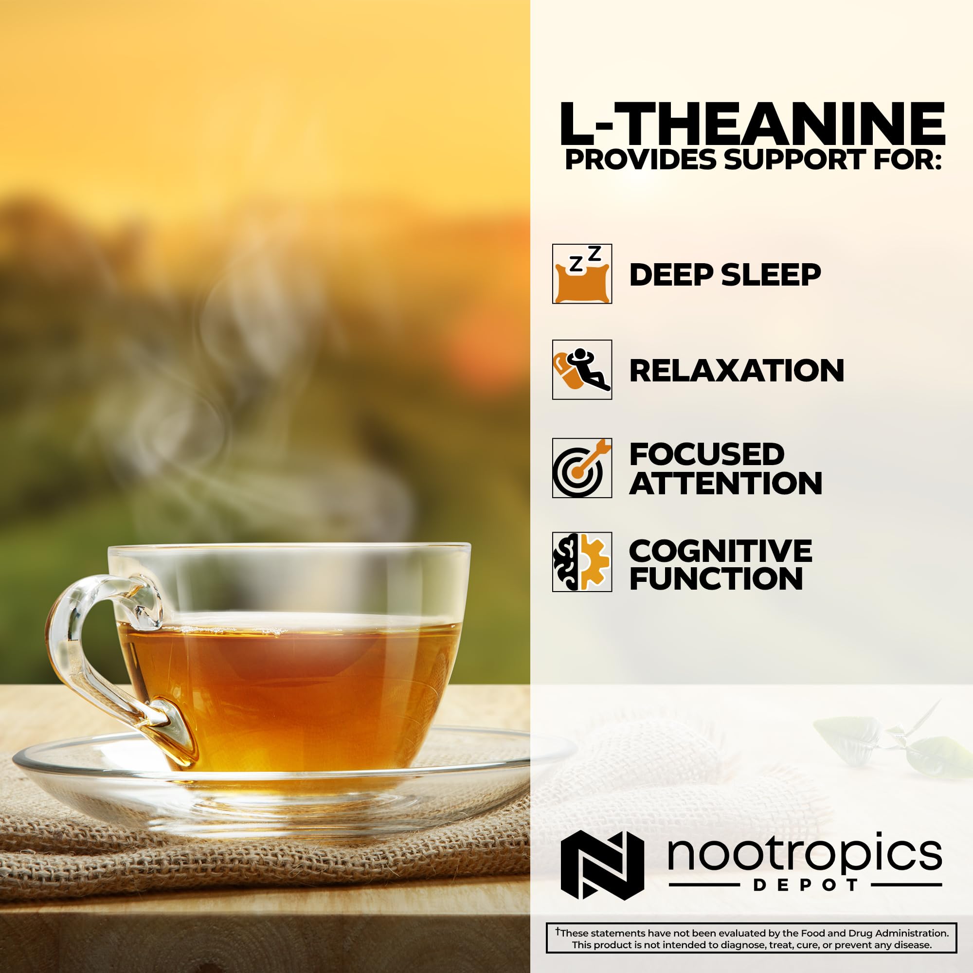 Nootropics Depot cápsulas junto a moneda para comparar tamaño