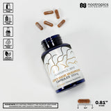 Nootropics Depot polvo del extracto mostrando textura, fácil mezcla con bebidas