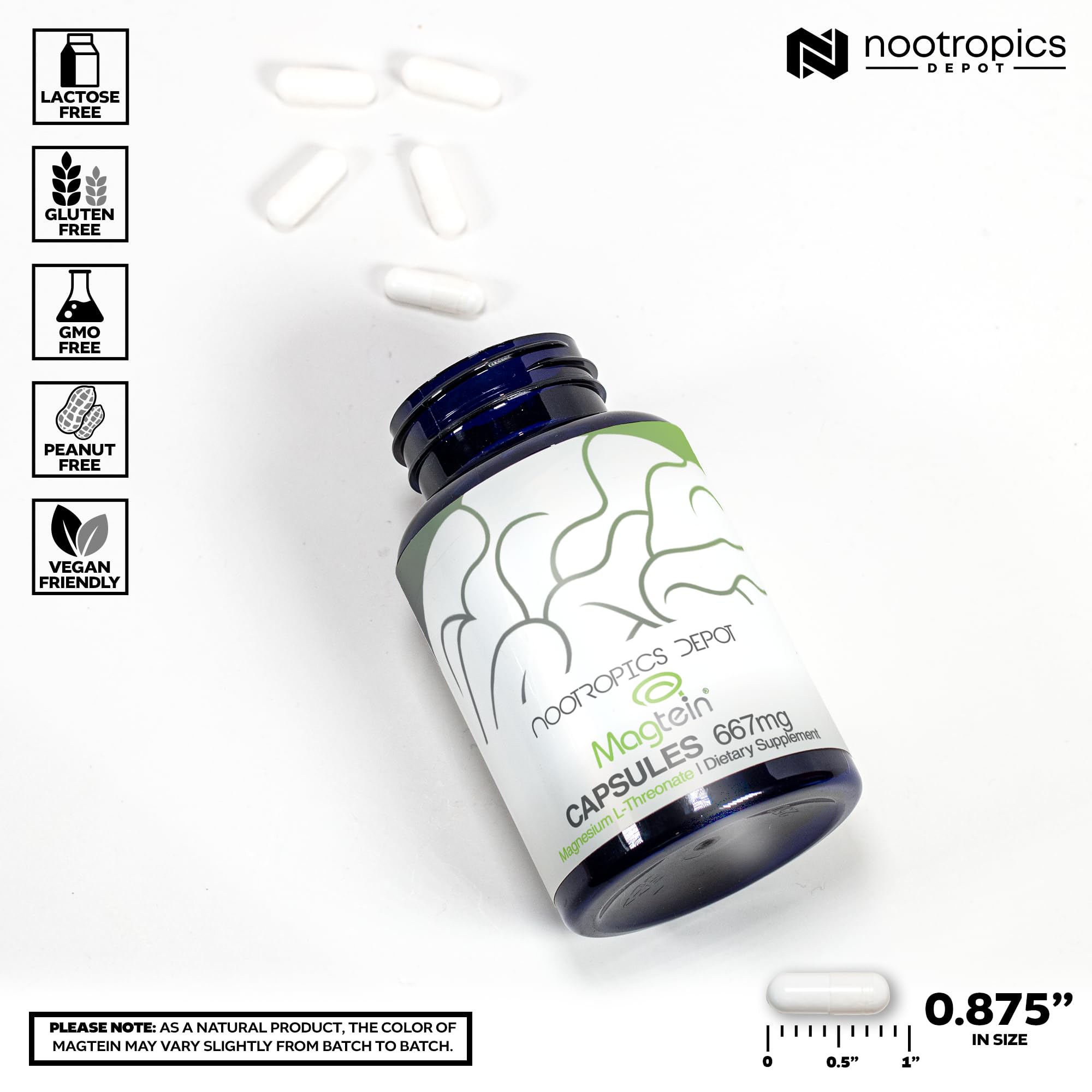 Nootropics Depot Magtein cápsula en mano para comparar tamaño y dosificación práctica