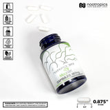 Nootropics Depot Magtein cápsula en mano para comparar tamaño y dosificación práctica