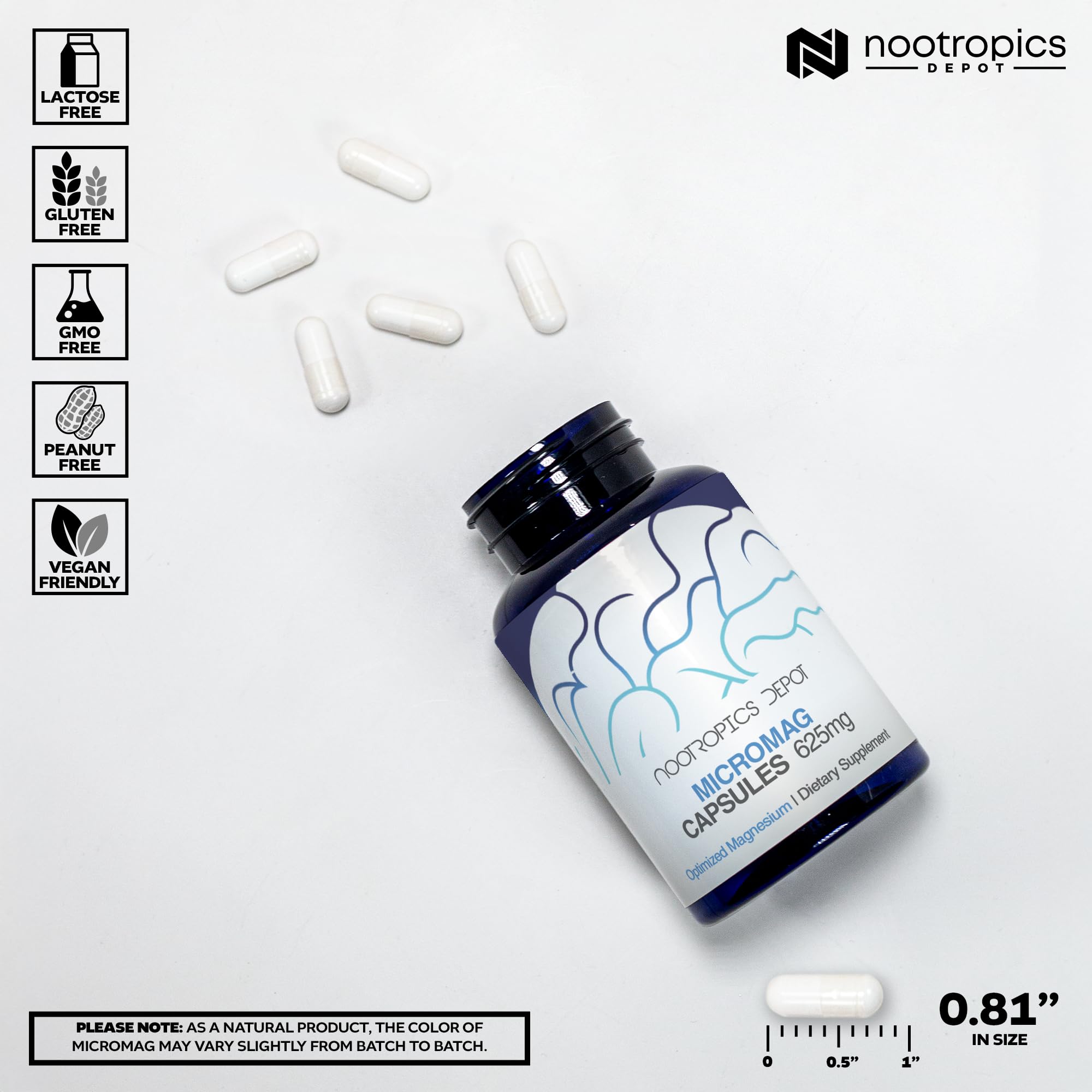 Nootropics Depot detalle del recubrimiento sucrosomial que mejora la absorción