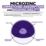 Nootropics Depot MicroZinc cápsula junto a moneda para comparación de tamaño