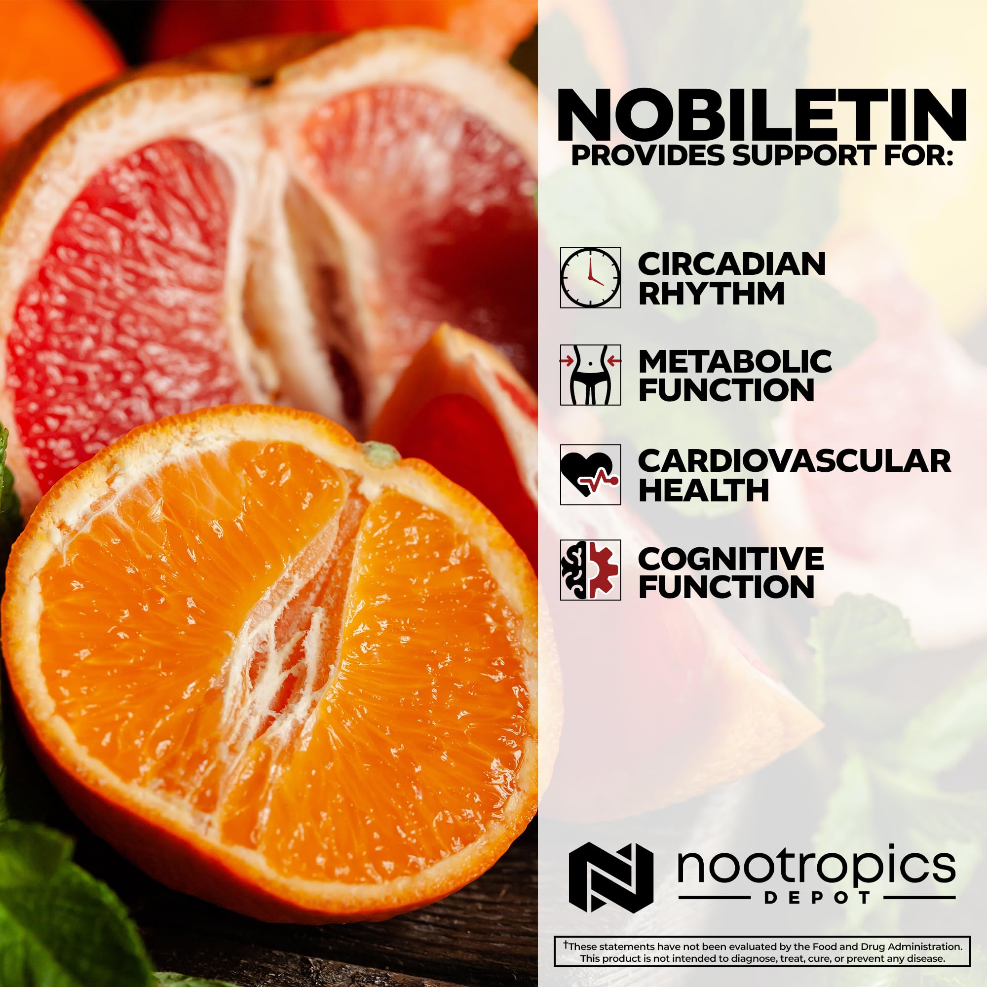 Nootropics Depot envase abierto con cápsulas, enfatizando facilidad de uso