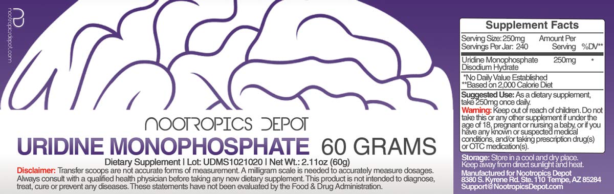 Nootropics Depot polvo en primer plano resaltando textura fina y calidad