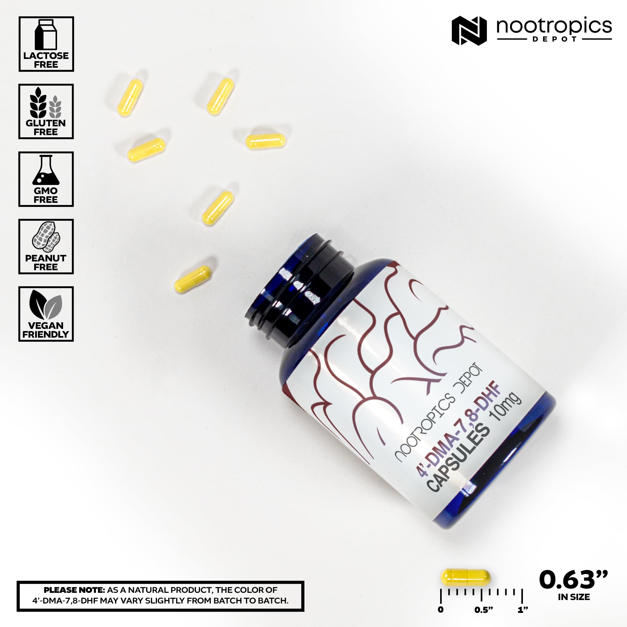 Nootropics Depot polvo dentro de cápsula mostrando textura y pureza aparente