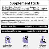 Nootropics Depot cápsulas en mano que facilitan dosificación y portabilidad