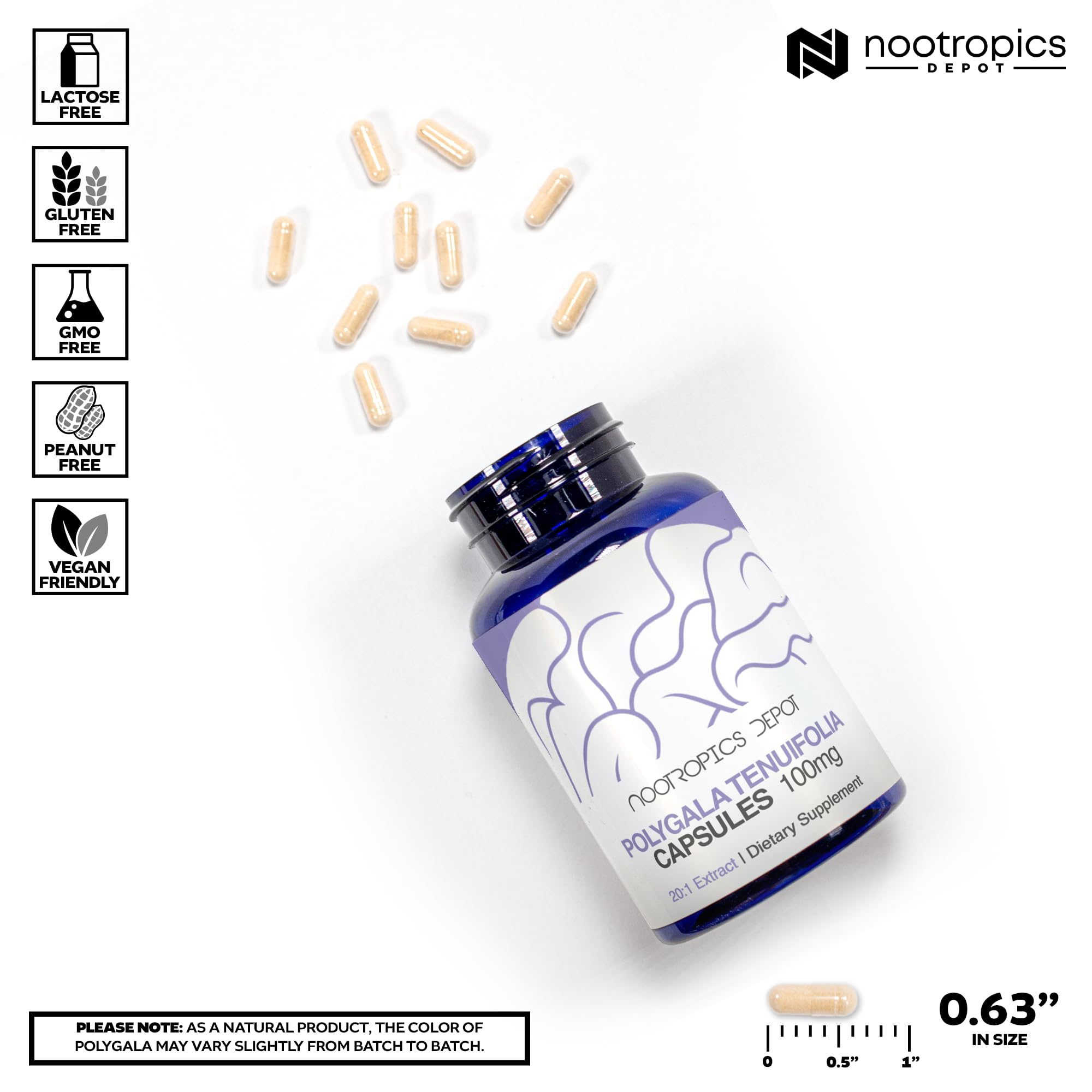 Nootropics Depot textura de extracto en polvo enfatizando concentración 20:1