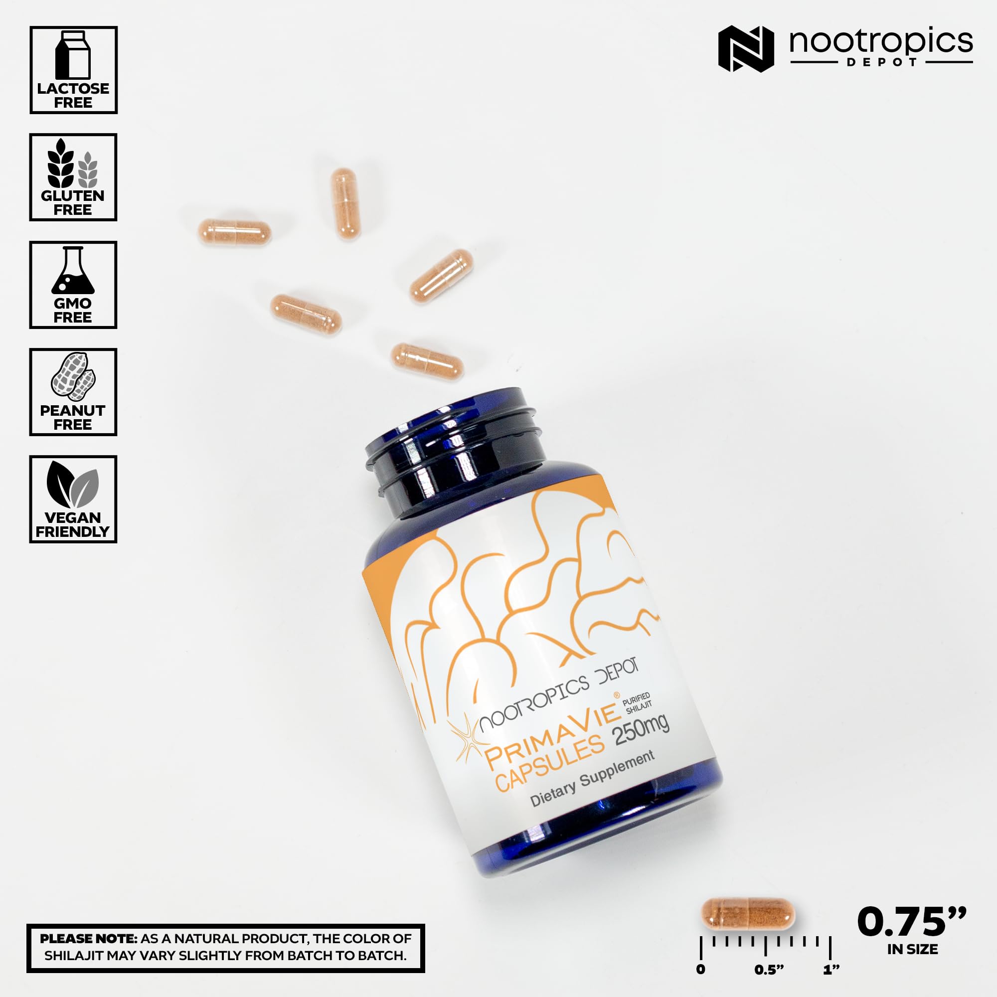 Nootropics Depot cápsulas PrimaVie en mano para comparar tamaño y facilitar la toma